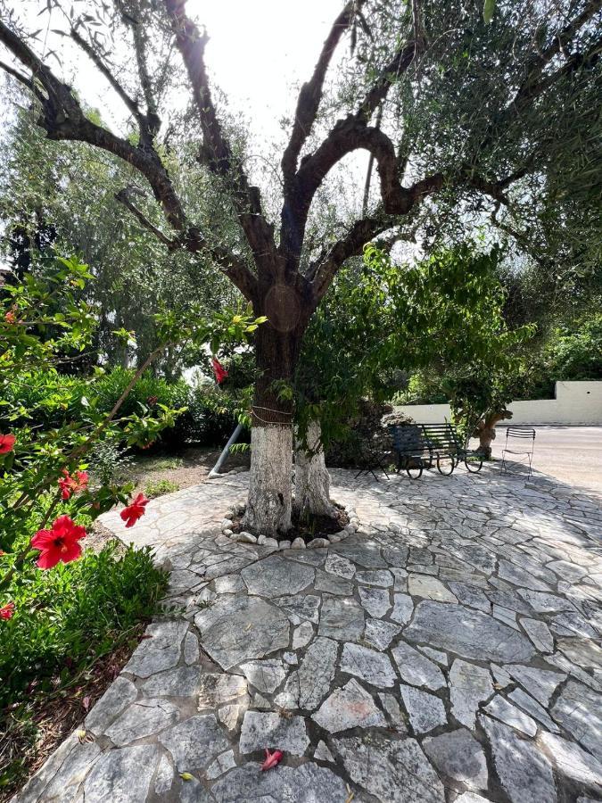 Lithino Apartments - 5Min From The Beach Agios Ioannis Peristeron  Exterior photo