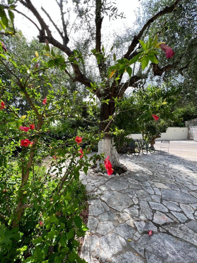Lithino Apartments - 5Min From The Beach Agios Ioannis Peristeron  Exterior photo